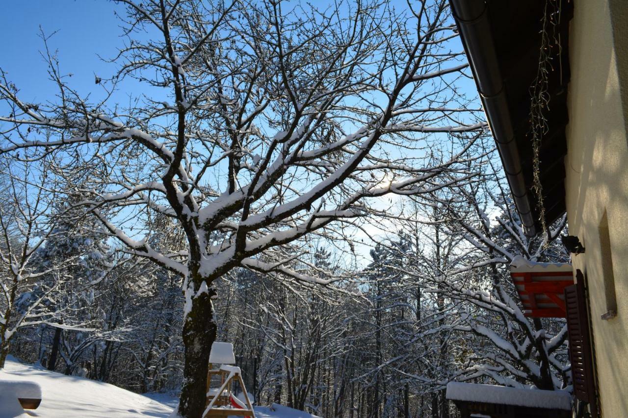 Holiday Home Coprnicka Hisa Skrad ภายนอก รูปภาพ